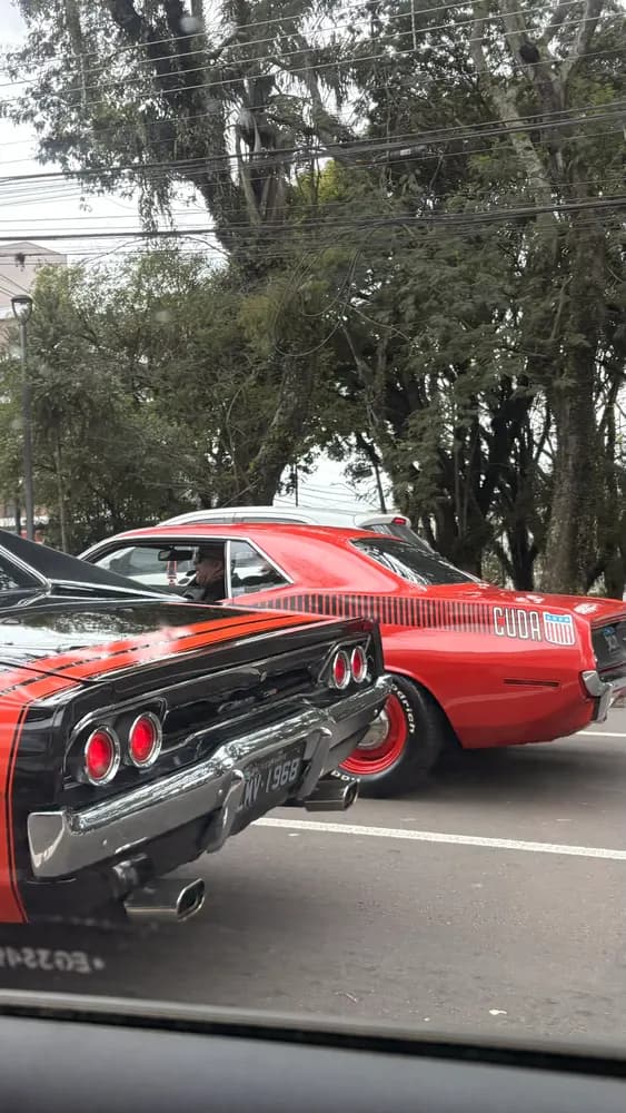 Dois carros antigos, um vermelho e outro preto, numa rua com árvores