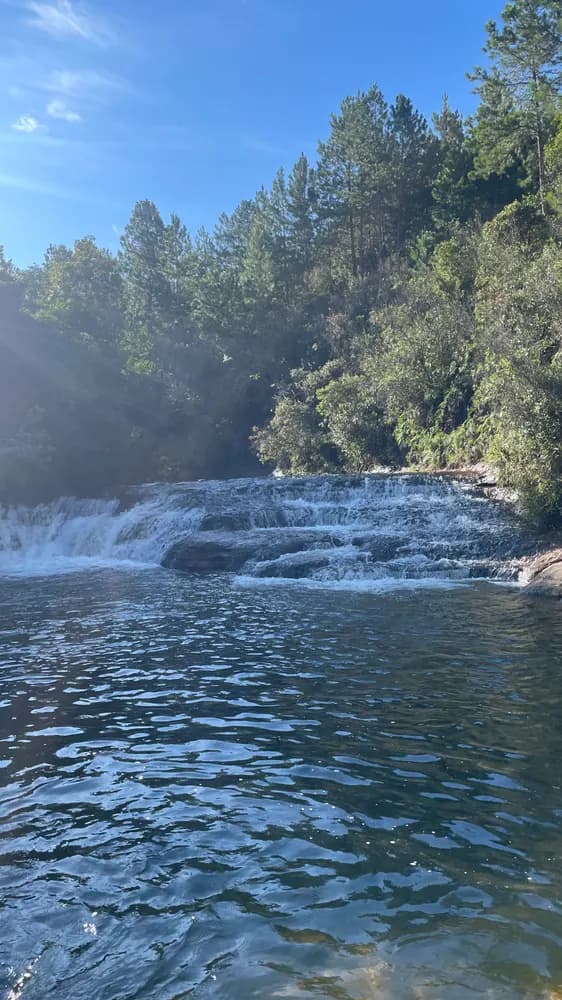 Cachoeira baixa e larga em rio de mata, pinheiros ao fundo e céu azul