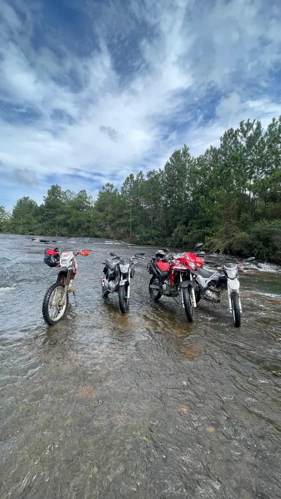Quatro motos paradas dentro de um rio raso, mata de pinheiros ao fundo